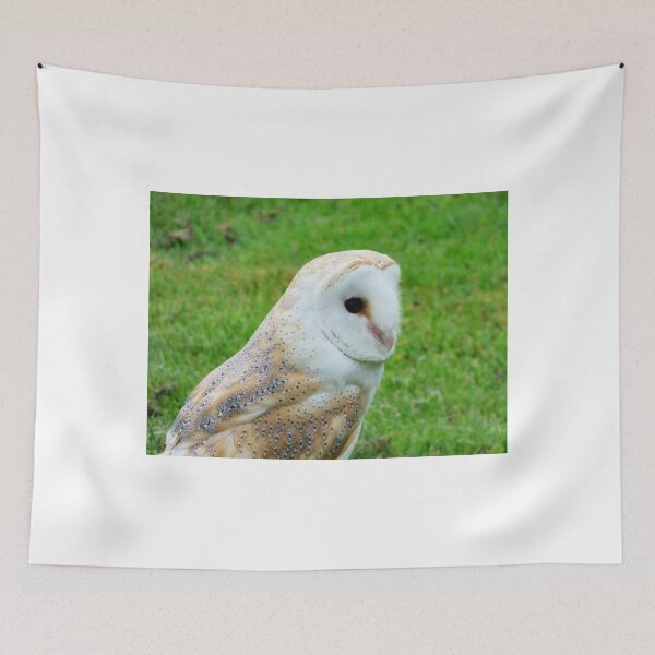 Item preview, barn owl designed and sold by mikeloughlin.