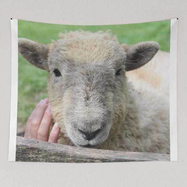 Item preview, Lamb designed and sold by beerman70.