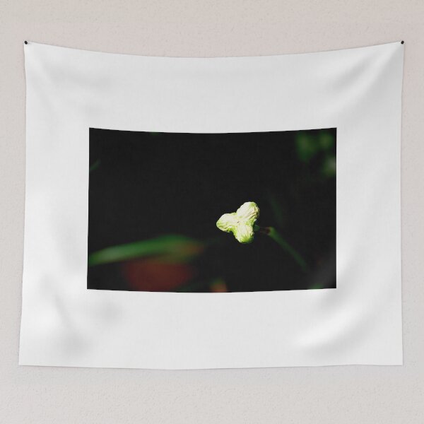 Item preview, Preparation designed and sold by Mezei József Tibor.