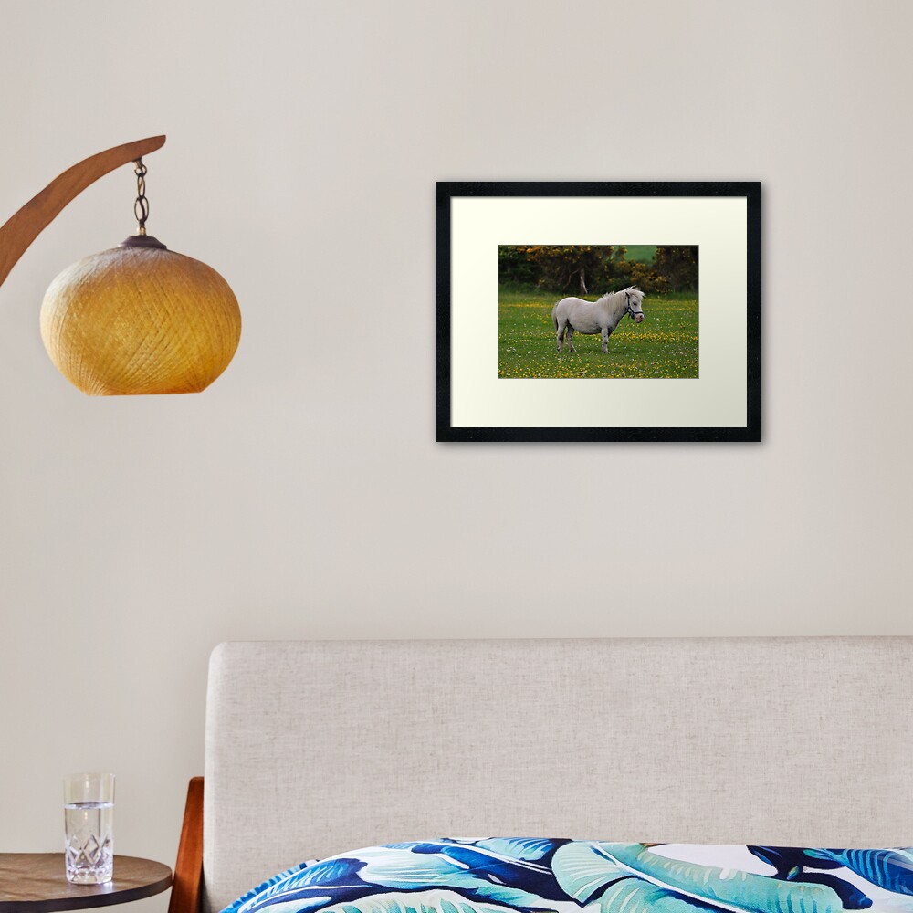 Horse 1 Framed Art Print