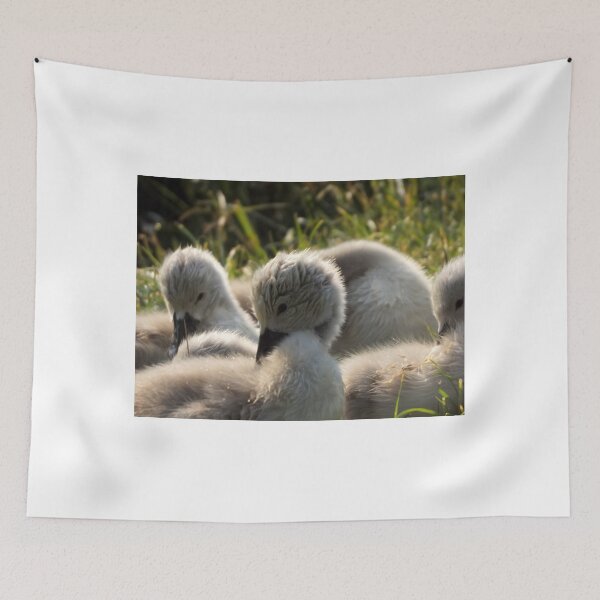 Item preview, Beautiful Cygnets  designed and sold by widdy170.