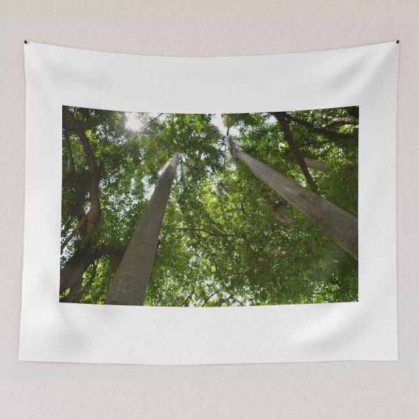 Item preview, canopy designed and sold by demor44.
