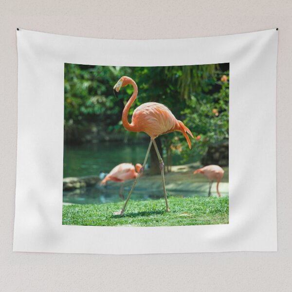 Item preview, Pretty Flamingo  designed and sold by hawkie.
