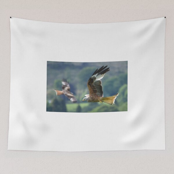 Item preview, Red Kite designed and sold by Rob Parsons (Just a Walker with a Camera).