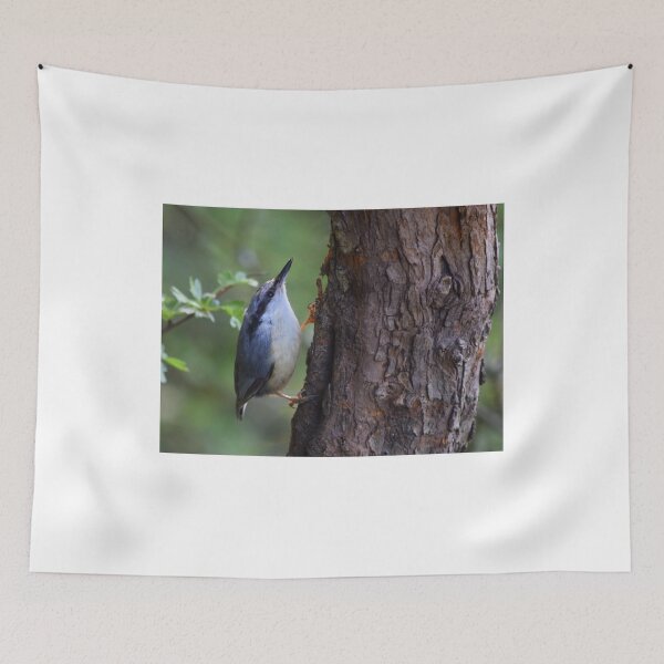 Item preview, Nuthatch designed and sold by Rob Parsons (Just a Walker with a Camera).