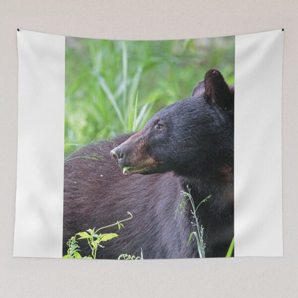 Item preview, Black Bear Munching on Plants designed and sold by WorldDesign.