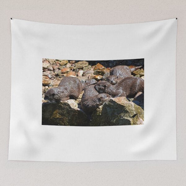 Aperçu de l'œuvre Sleepy Otters .......... Devon Royaume-Uni créée et vendue par lynn carter.