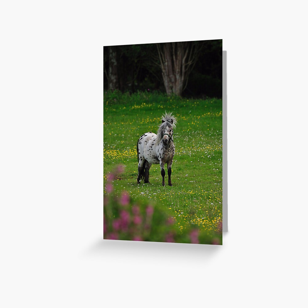 Item preview, Greeting Card designed and sold by pauleden.
