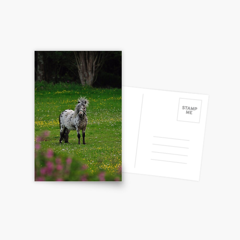 Item preview, Postcard designed and sold by pauleden.
