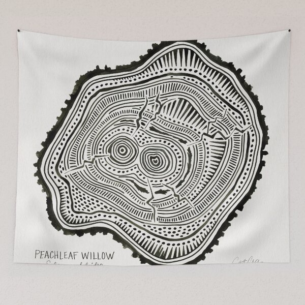Item preview, Peachleaf Willow – Black Ink designed and sold by Cat Coquillette.