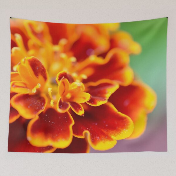 Item preview, Dreaming in Orange designed and sold by umeimages.