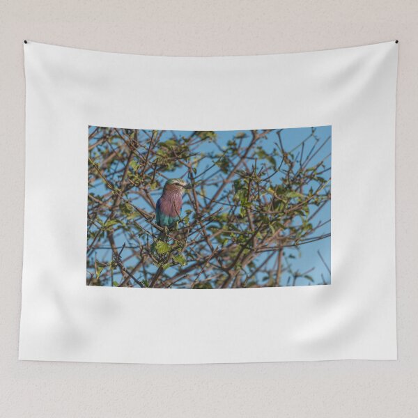 Item preview, Lilac-breasted roller perched in leafy bush designed and sold by Nick Dale Photography.