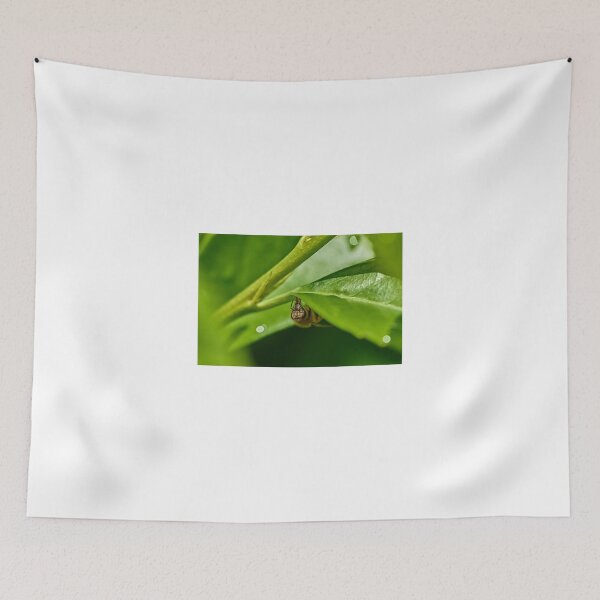 Item preview, Drinking bee designed and sold by Mark Bangert.