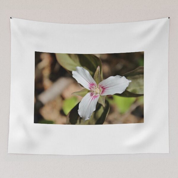 Item preview, Painted Trillium III designed and sold by Kathleen Daley.