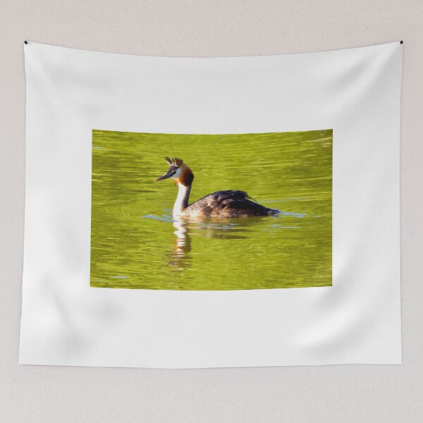 Item preview, Great crested grebe  ( Podiceps cristatus )  Perkoz dwuczuby designed and sold by MarekM.