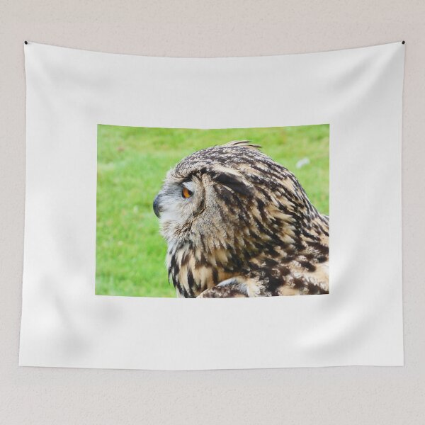 Item preview, eagle owl in aloof mood designed and sold by mikeloughlin.