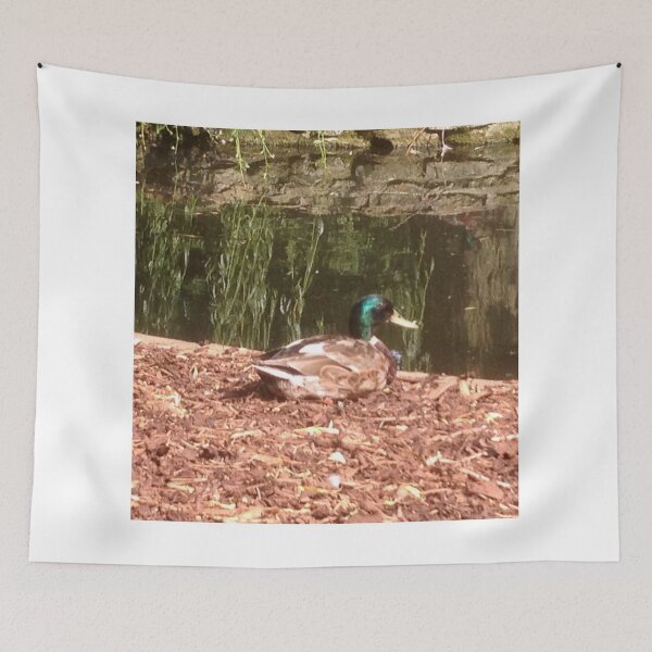 Item preview, It's a Duck's Life designed and sold by stevefreestone.
