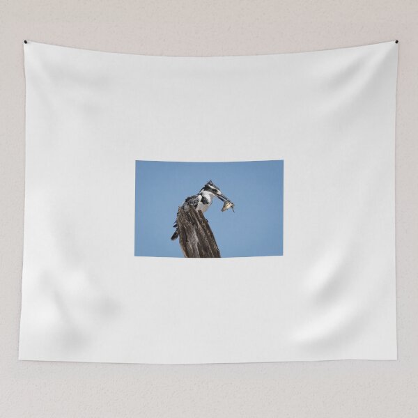 Item preview, Pied Kingfisher With His Catch From The Chobe River designed and sold by Robert Kelch, M.D..