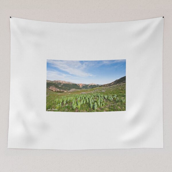 Item preview, False Hellebore in the Evening Light designed and sold by Jeff Goulden Photography.