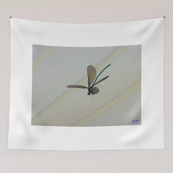 Item preview, "Suspended In Time" designed and sold by Robert Regenold's Art Shop.