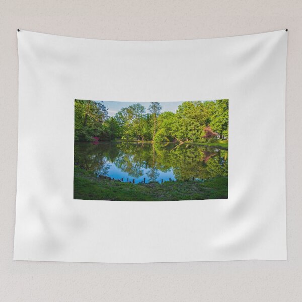 Item preview, mirror image designed and sold by Wizi-Top.