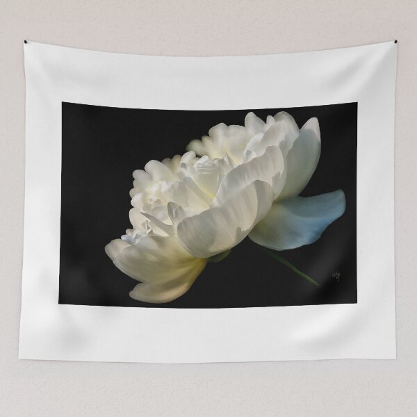 Item preview, White Peony In The Light designed and sold by Lois  Bryan.