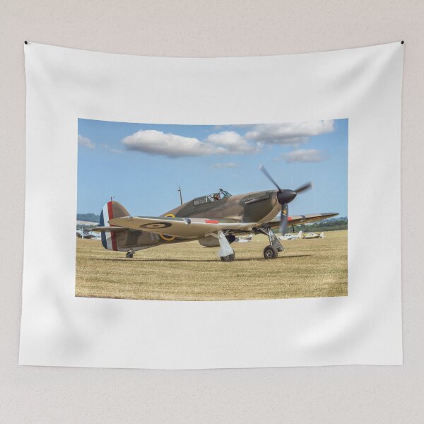 Item preview, Hawker Hurricane IIa P3351 F-AZXR designed and sold by Colin Smedley.