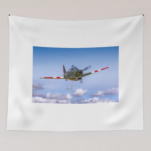 Item preview, EFW D-3801 J-143 HB-RCF in flight designed and sold by Colin Smedley.