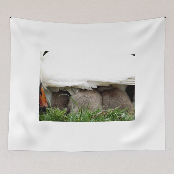Item preview, Beautiful Cygnets tucking underneath Mothers wing designed and sold by widdy170.