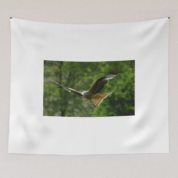 Item preview, Red Kite designed and sold by Rob Parsons (Just a Walker with a Camera).
