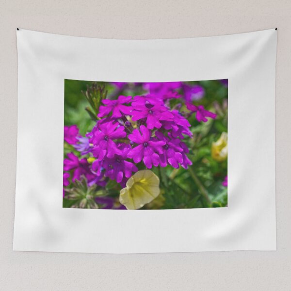 Item preview, Summer Color designed and sold by JoeGeraci.