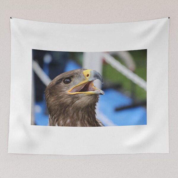 Item preview.