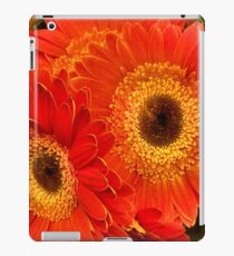 Cheerful iPad Case/Skin