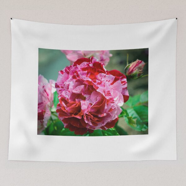 Item preview, Summer Beauty designed and sold by JoeGeraci.