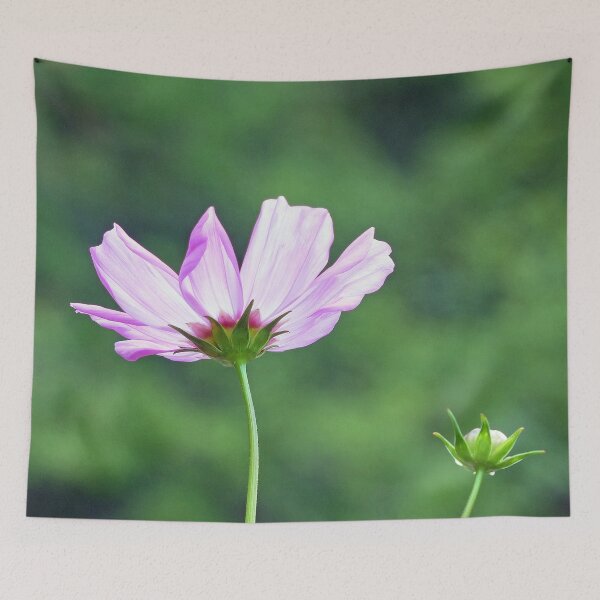 Item preview, Cosmos designed and sold by Frankie Cat Photography.