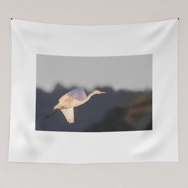 Item preview, Sunlit Egret designed and sold by byronbackyard.