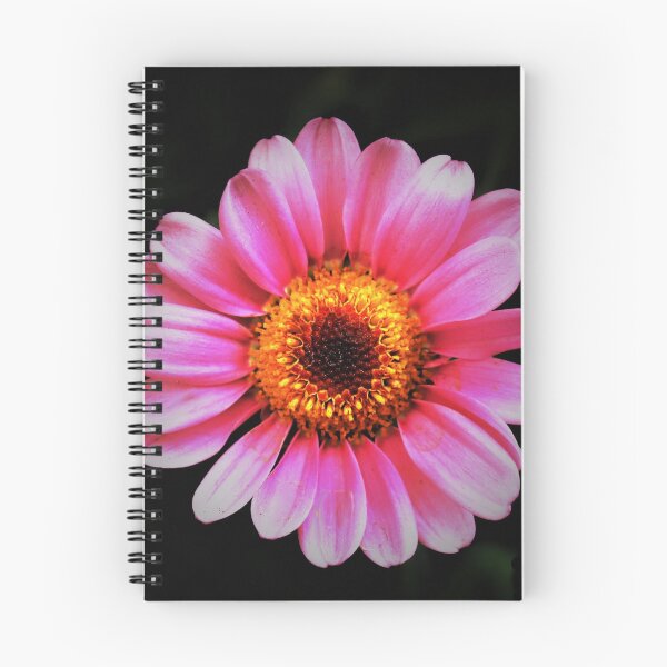 Item preview, Spring Bloom in Pink designed and sold by Angela Watts.