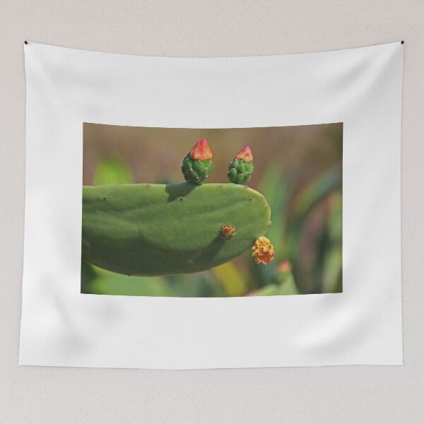 Item preview, Brazilian Prickly Pear designed and sold by Michiale.
