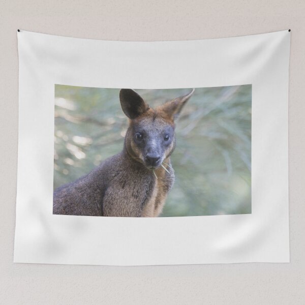Item preview, Backyard Friend designed and sold by byronbackyard.