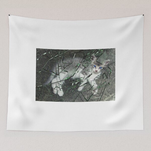 Item preview, Kitten Under Shattered Glass designed and sold by GolemAura.