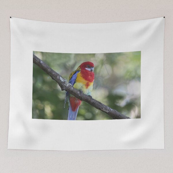 Item preview, Pretty Parrot designed and sold by byronbackyard.
