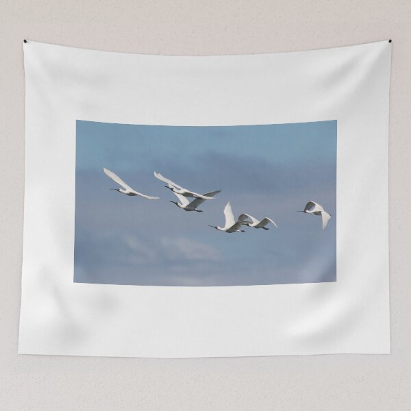 Item preview, Spoonbill Flight designed and sold by byronbackyard.