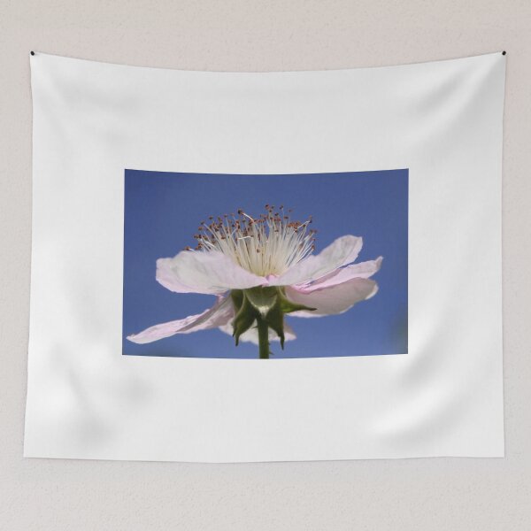 Item preview, Flower of Rubus Fruticosus designed and sold by Jo Nijenhuis.