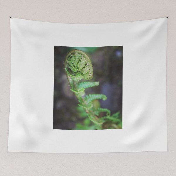 Item preview, Fern fronds designed and sold by Jonesyinc.