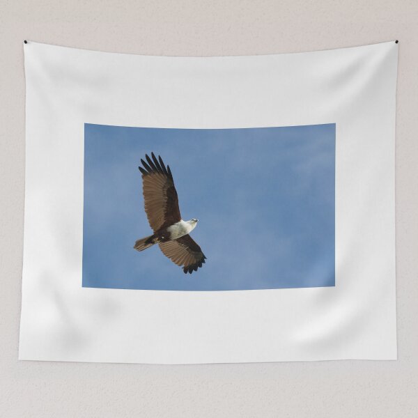 Item preview, Looking Skywards designed and sold by byronbackyard.