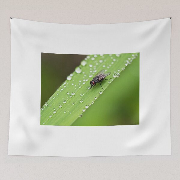 Item preview, Time For A Wash designed and sold by Dorset Girl.