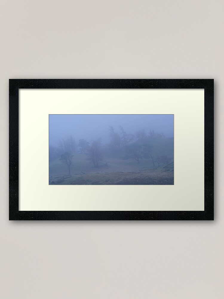 Alternate view of Trees in the Mist, Craig Varr Framed Art Print