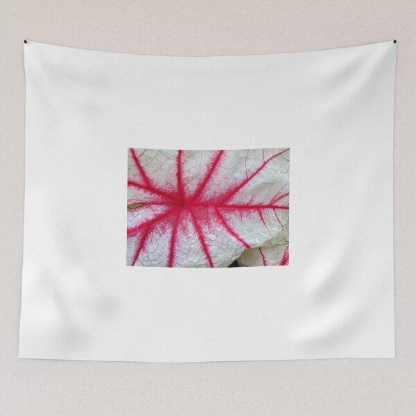 Item preview, Caladium And Raindrops designed and sold by WildestArt.