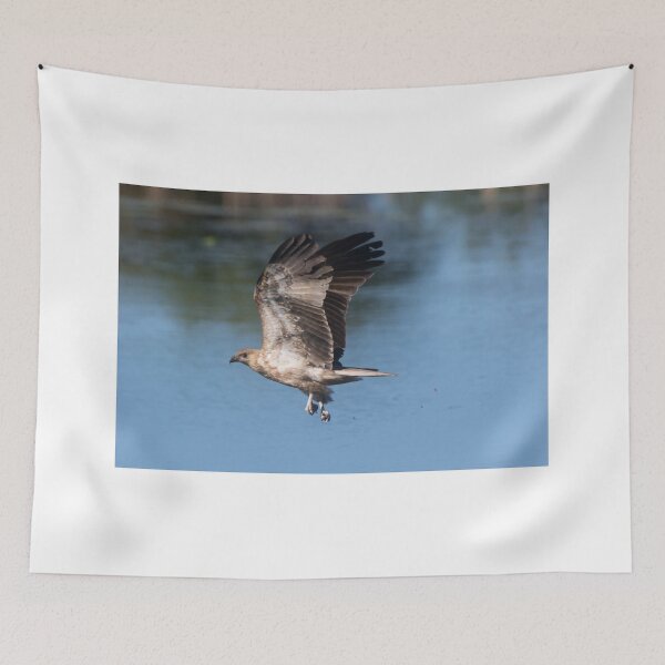 Item preview, Learning To Pick Up Prey designed and sold by byronbackyard.
