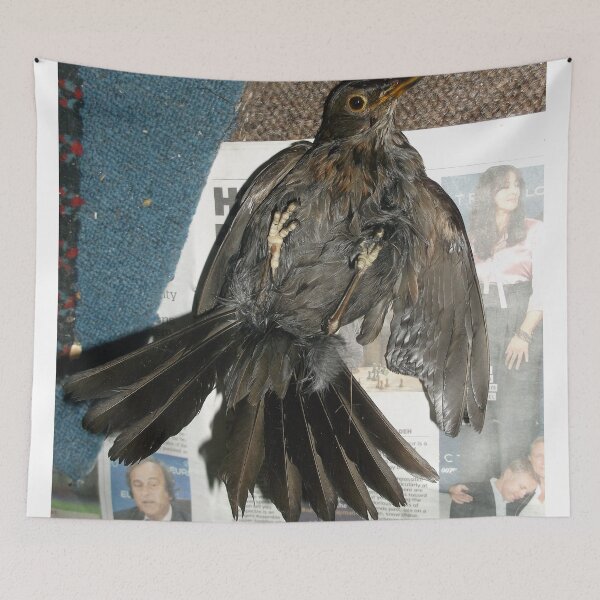 Item preview, Cat brought in a half dead bird -(310516)- digital photo designed and sold by paulramnora.